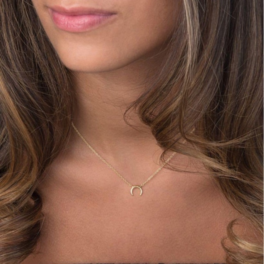 Mini Cow Horn Necklace